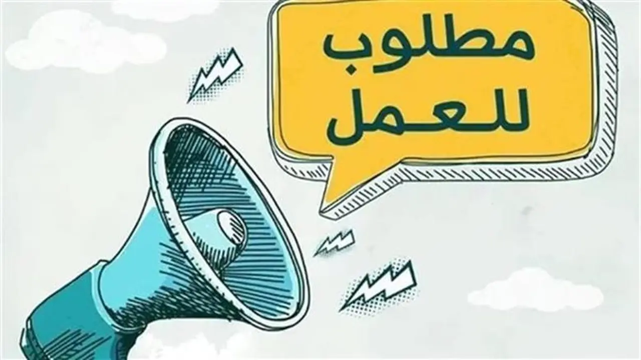 رواتب 15 ألف جنيه.. التقديم على وظائف خالية بفرص للحصول على أرباح سنوية